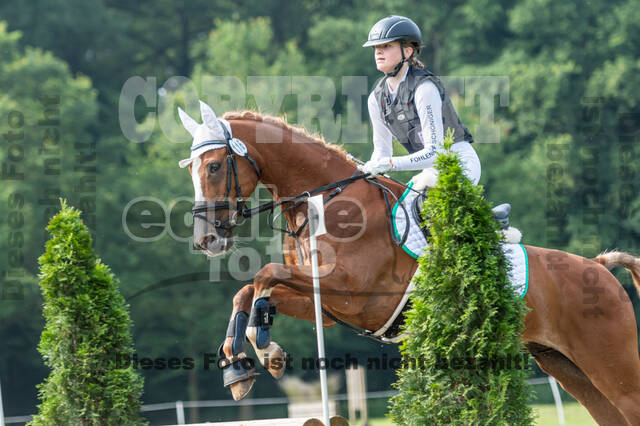 Goldene Schärpe 2021 - Ponys