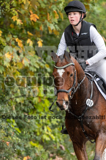 Goldene Schärpe 2020 - Pferde