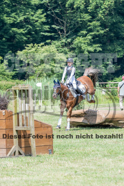 Goldene Schärpe 2021 - Ponys