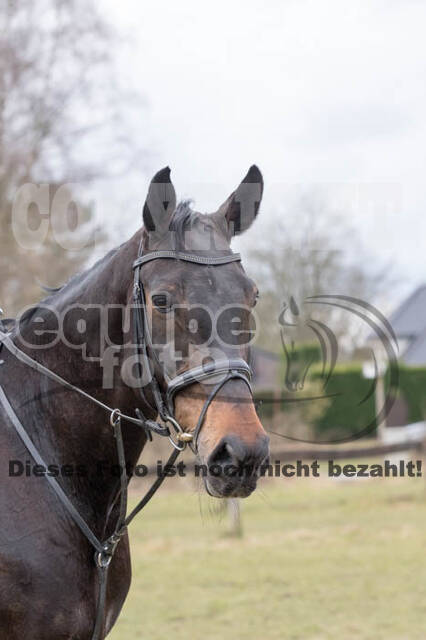 Geländetraining RSV St. Hubertus Wesel Obrighoven