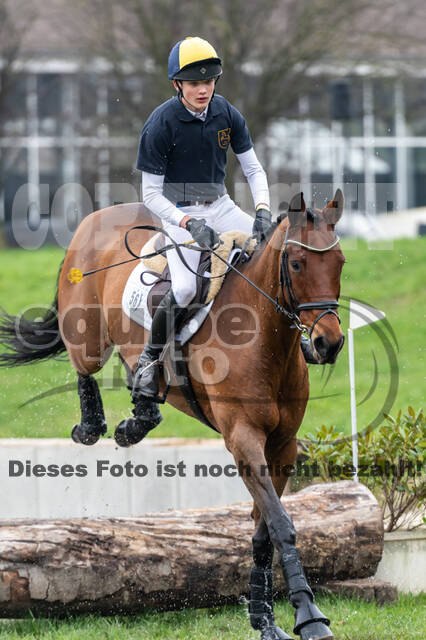 Goldene Schärpe 2020 - Pferde