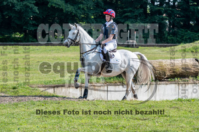 Goldene Schärpe 2021 - Ponys