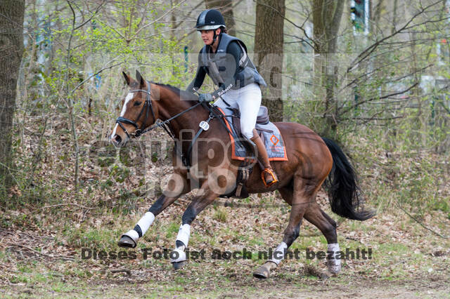 Eventing im Pferdesportzentrum Rheinland (Late Entry 14.03.2022)