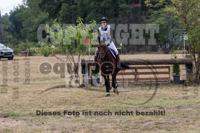 Late-Entry Vielseitigkeit Hamminkeln/Wesel (01.+02.08.2020)