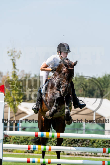 Kronenberg - De Peelbergen (August 2020)