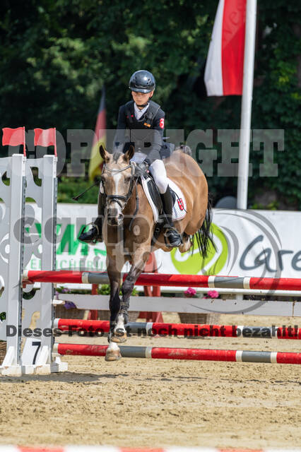 Goldene Schärpe 2021 - Ponys