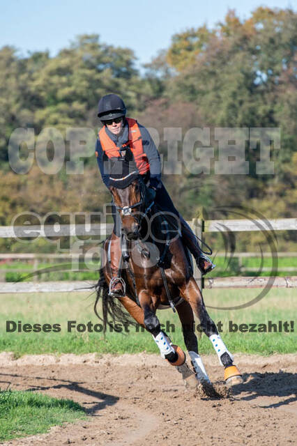 Vielseitigkeitslehrgang mit Jürg Kurbel (9.+10.11.2019)