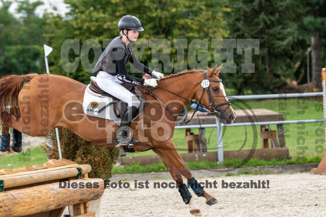 Late-Entry-Vielseitigkeit Langenfeld (06.+07.07.2020)