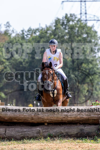 Late-Entry Vielseitigkeit Hamminkeln/Wesel (01.+02.08.2020)