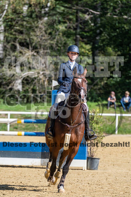 RFV Dinslaken-Hiesfeld (Herbstturnier)