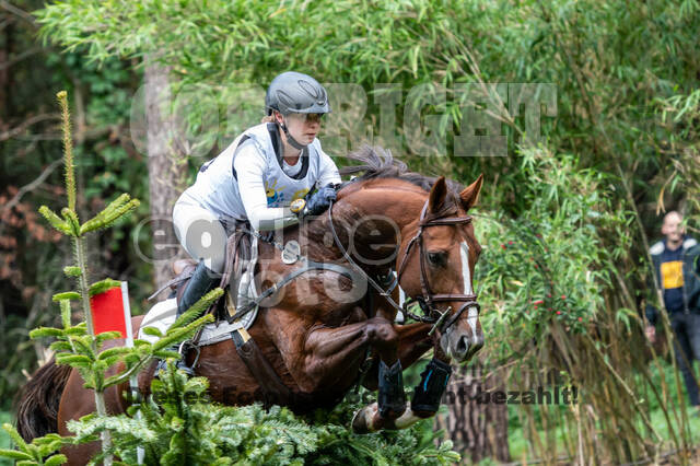 Vielseitigkeit RSV Wesel Obrighoven (26.+27.09.2020)