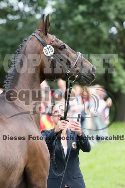 FEI European Championship Eventing 2017