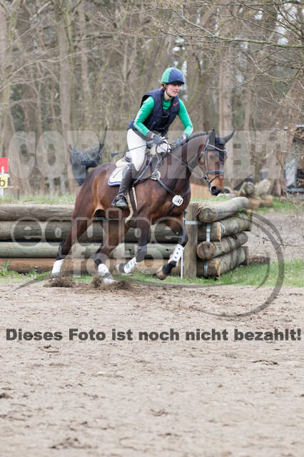 Jungpferdetag Hamminkeln
