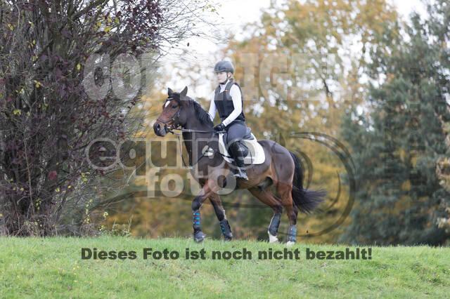 IGV Lehrgang der Sieger der Cups mit Frank Ostholt