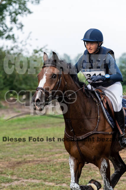 De Peelbergen (August 2020)