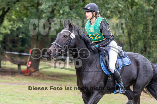 Vielseitigkeit RSV Wesel Obrighoven (26.+27.09.2020)