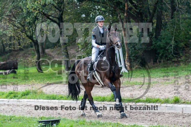 Goldene Schärpe 2020 - Pferde