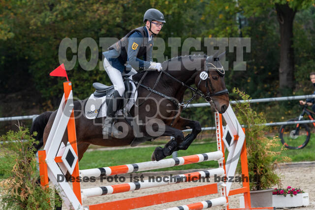 Goldene Schärpe 2020 - Pferde