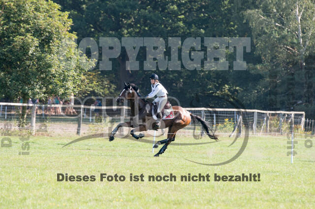 FEI European Championship Eventing 2019