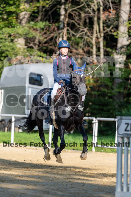 RFV Dinslaken-Hiesfeld (Herbstturnier)