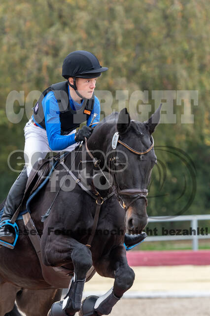 Goldene Schärpe 2020 - Pferde