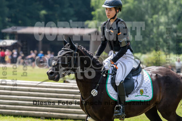 Goldene Schärpe 2021 - Ponys