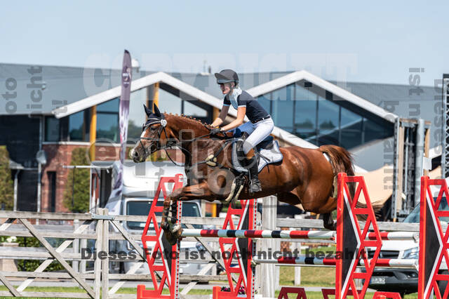 Kronenberg - De Peelbergen (August 2020)