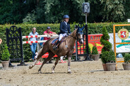 Goldene Schärpe 2021 - Ponys