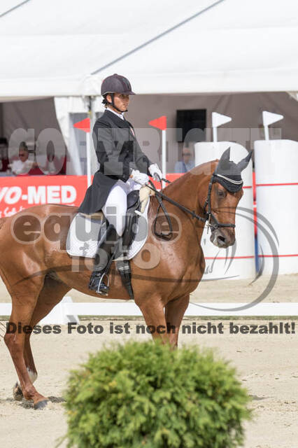 FEI European Championship Eventing 2017