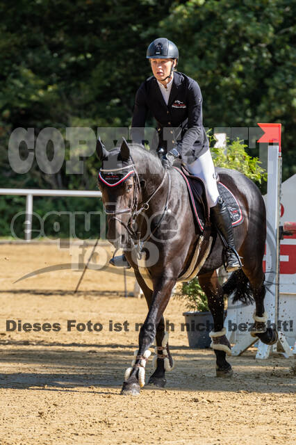 RFV Dinslaken-Hiesfeld (Herbstturnier)