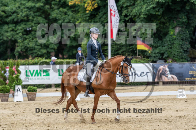 Goldene Schärpe 2021 - Ponys