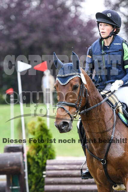 Late-Entry-Vielseitigkeit Langenfeld (11.+13./14.06.2020)