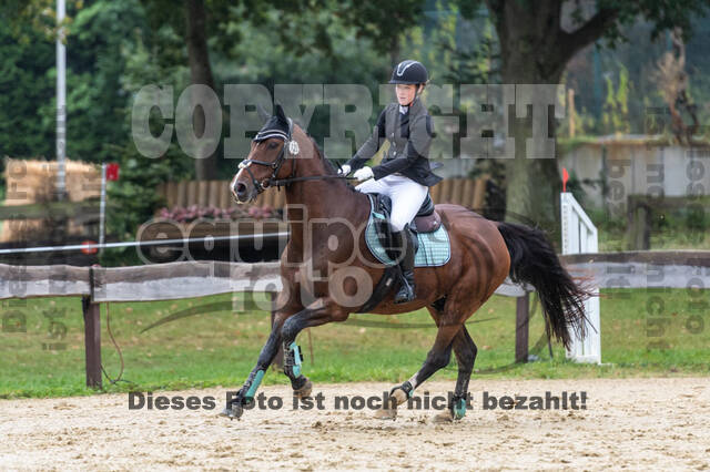 Vielseitigkeit RSV Wesel Obrighoven (26.+27.09.2020)