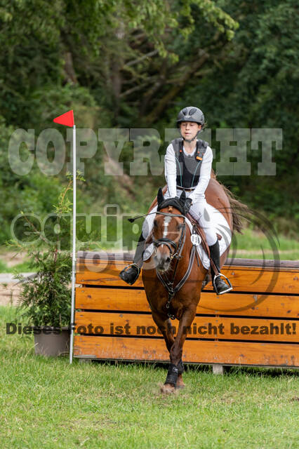 Late-Entry-Vielseitigkeit Langenfeld (06.+07.07.2020)