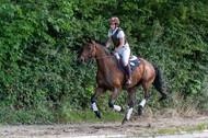 Late-Entry-Vielseitigkeit Langenfeld (11.+13./14.06.2020)