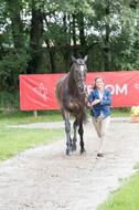 FEI European Championship