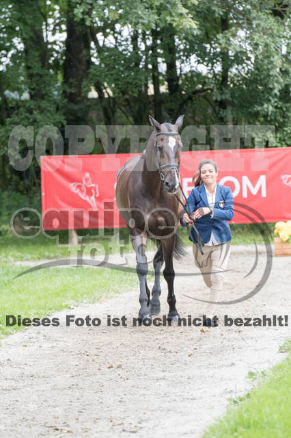 FEI European Championship