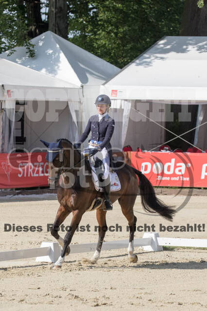 FEI European Championship Eventing 2017