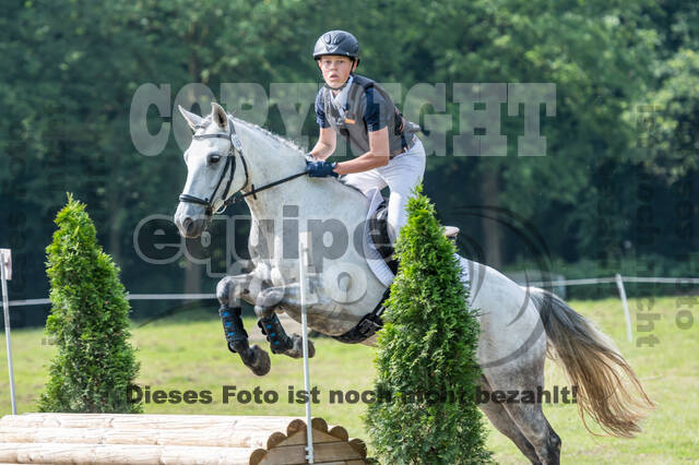 Goldene Schärpe 2021 - Ponys