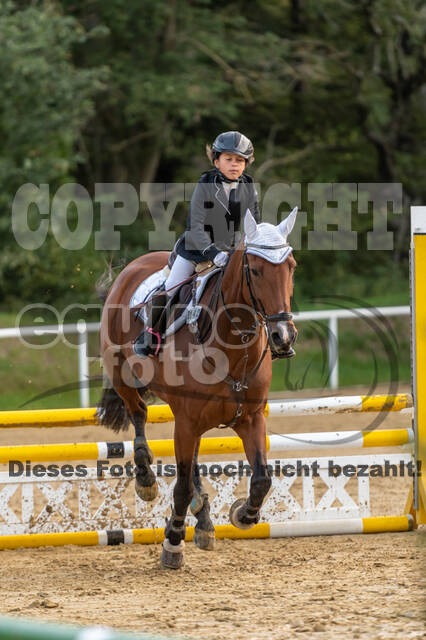 RFV Dinslaken-Hiesfeld (Herbstturnier)