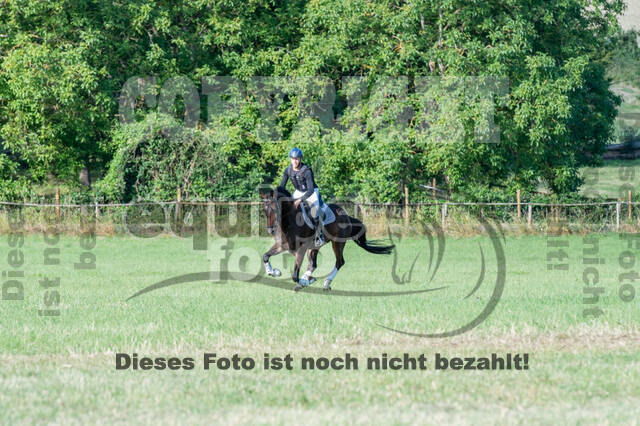 Bonn-Rodderberg Late-Entry-Vielseitigkeit (30.06.2020)