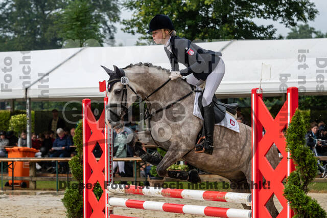 Goldene Schärpe 2021 - Ponys