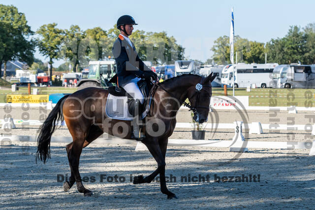 Kronenberg - De Peelbergen (August 2020)