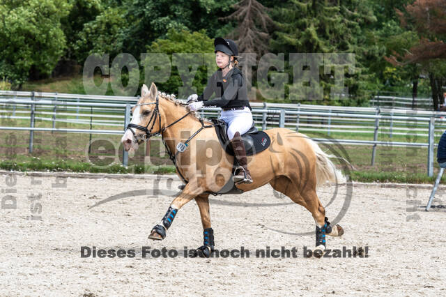 Late-Entry-Vielseitigkeit Langenfeld (06.+07.07.2020)