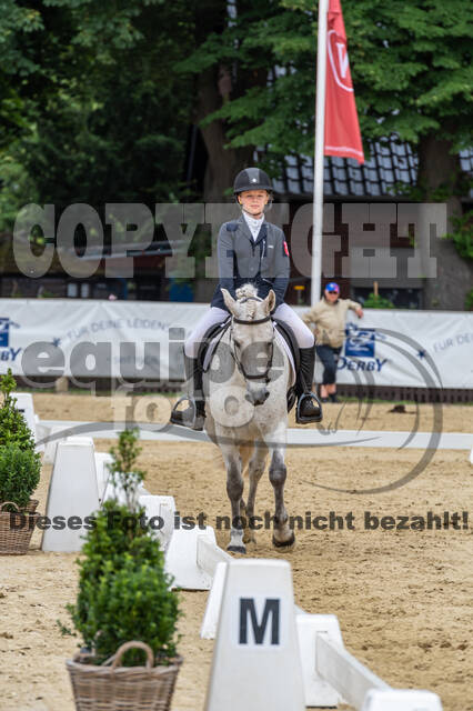 Goldene Schärpe 2021 - Ponys