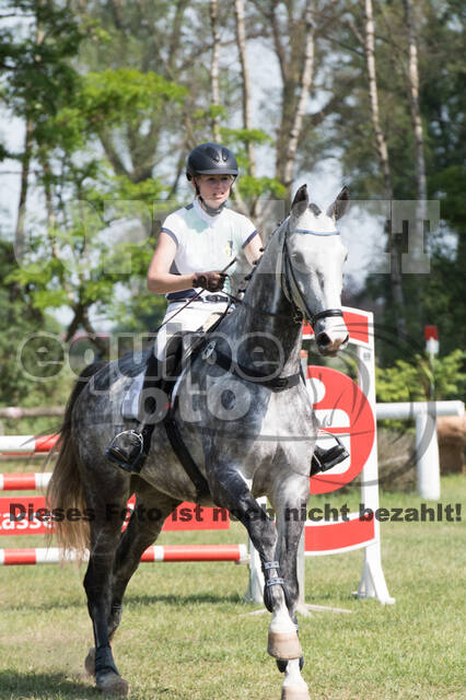 Vielseitigkeitsturnier ZRuFV von Lützow Hamminkeln
