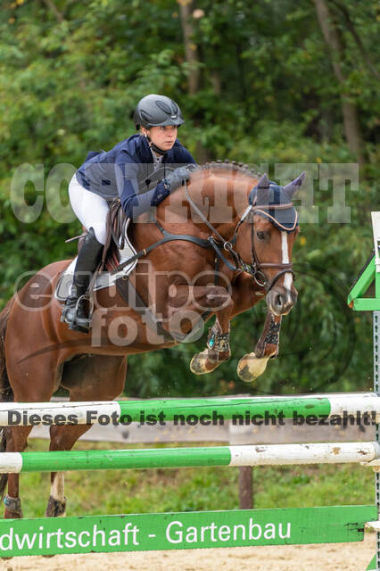 Vielseitigkeit RSV Wesel Obrighoven (26.+27.09.2020)