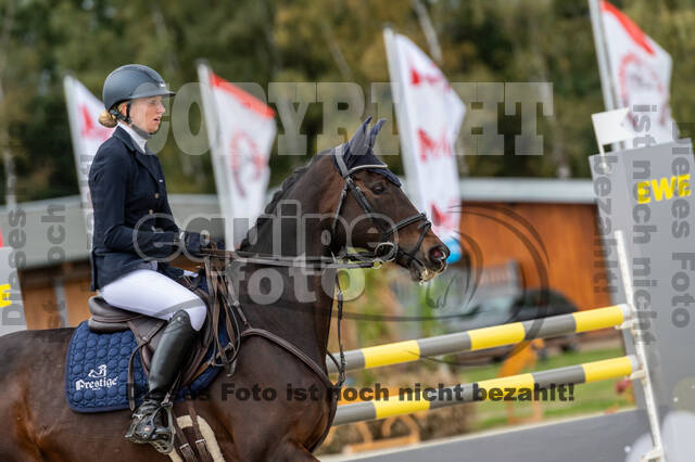 Deutsche Meisterschaft Vielseitigkeit (Luhmühlen)