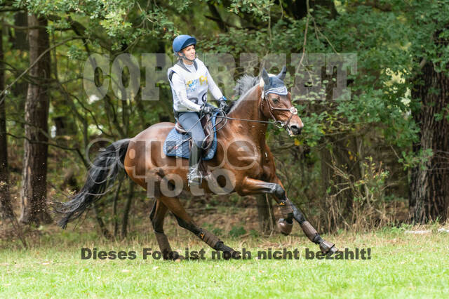 Vielseitigkeit RSV Wesel Obrighoven (26.+27.09.2020)