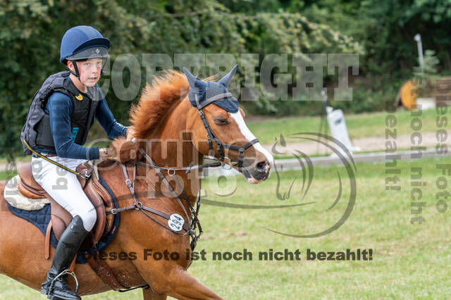 Late-Entry-Vielseitigkeit Langenfeld (11.+13./14.06.2020)
